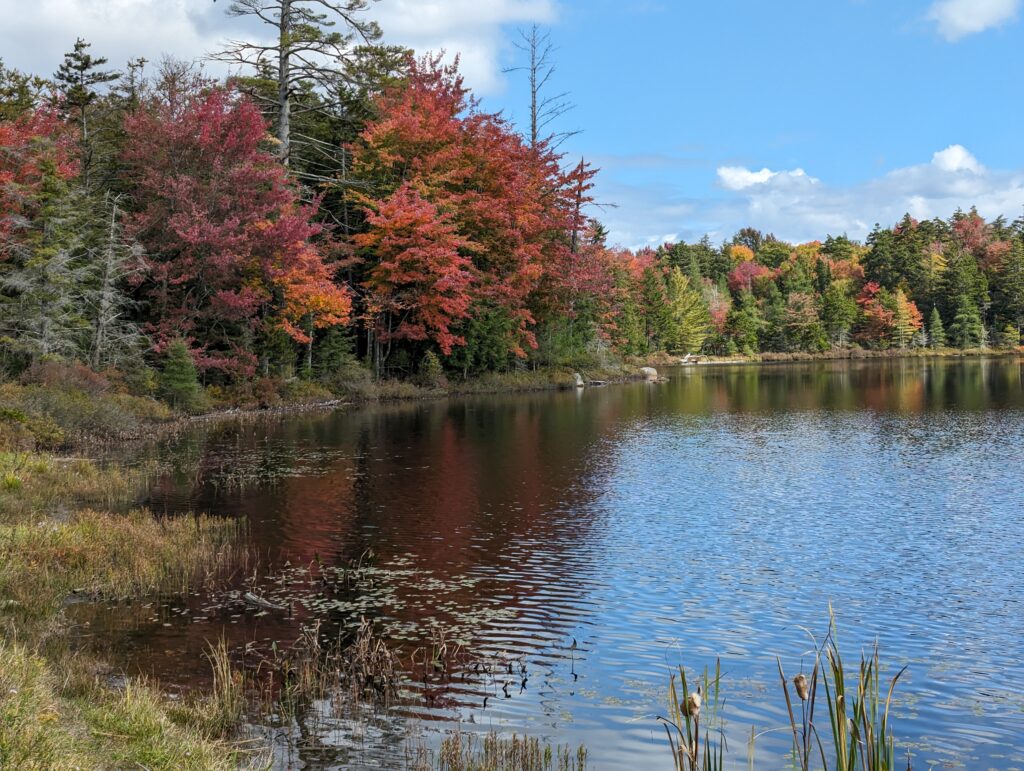 Quiver Pond Old Forge NY in the Fall